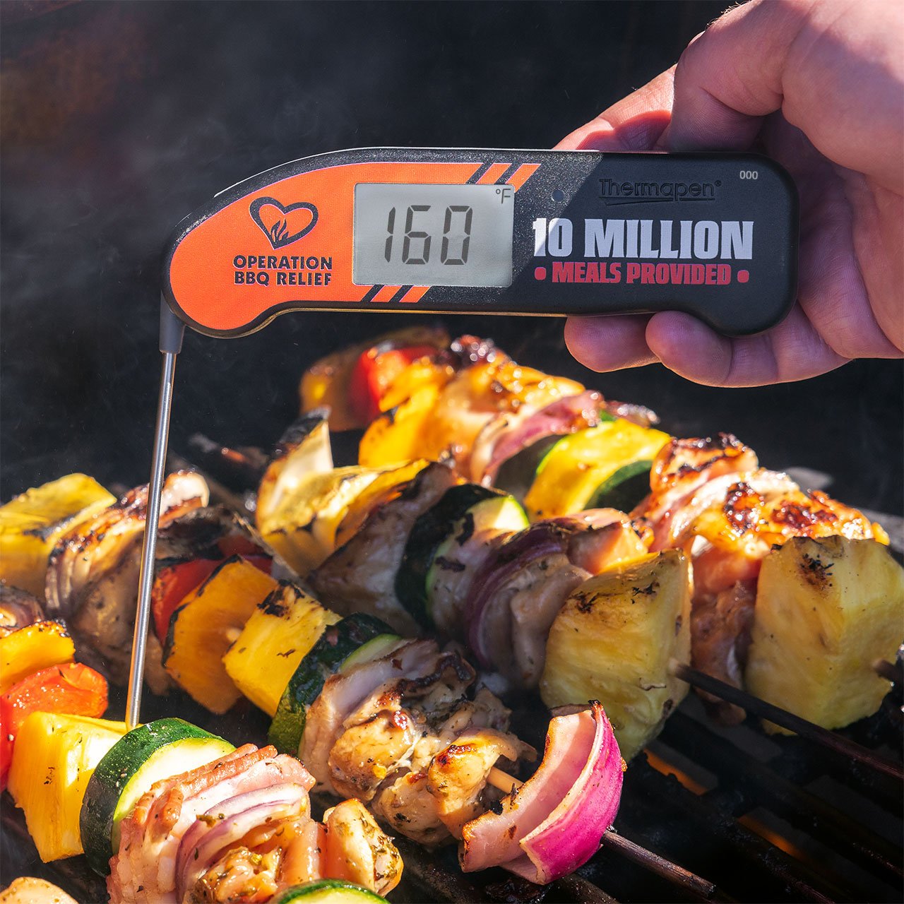 Thermapen-ONE-LE-limited-edition-thermapen-one-g013.jpg